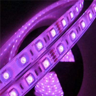 17W/M 5050 οδήγησε Wattage 12v 24V IP68 τα αδιάβροχα φω'τα λουρίδων πισινών οδηγημένα