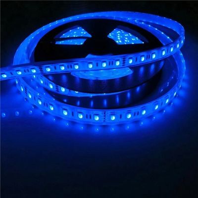 17W/M 5050 οδήγησε Wattage 12v 24V IP68 τα αδιάβροχα φω'τα λουρίδων πισινών οδηγημένα