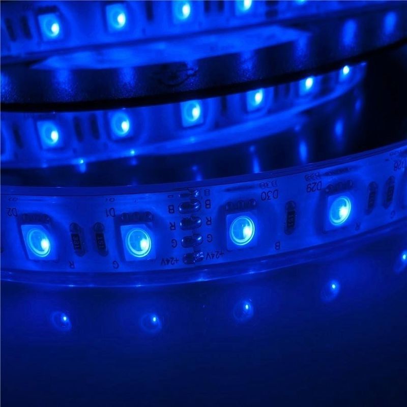 17W/M 5050 οδήγησε Wattage 12v 24V IP68 τα αδιάβροχα φω'τα λουρίδων πισινών οδηγημένα
